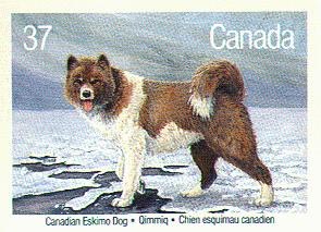 Canadian Eskimo Dog Stamp